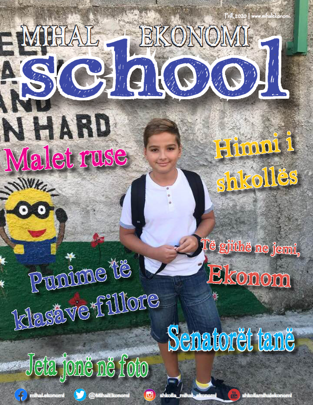 Revista Mihal Ekonimi school